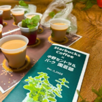 オフィスで野菜作り！水耕栽培3ヶ月チャレンジレポート