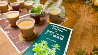 オフィスで野菜作り！水耕栽培3ヶ月チャレンジレポート